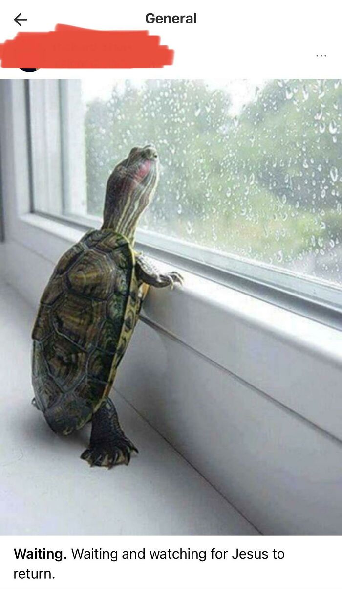 It’s Always Awkward When People Treat Nd Like Their Facebook Feed