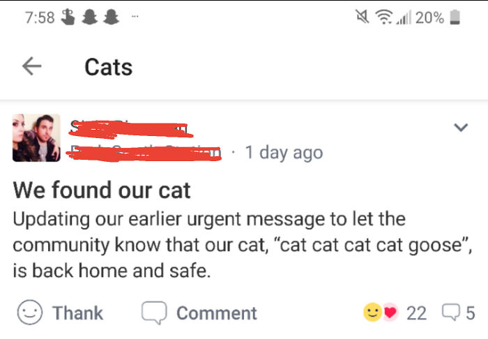 Cat Cat Cat Cat Goose?