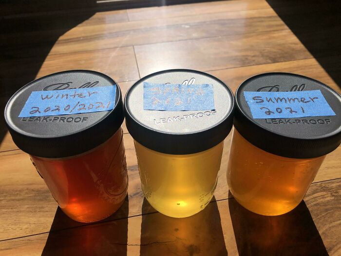 Honey Collected From The Same Hive Within 6 Months