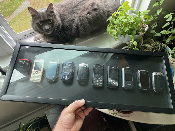 I Kept All Of My Old Cell Phones Throughout The Years. Decided To Display Them For Some Reason