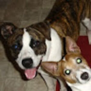 vickicunningham avatar