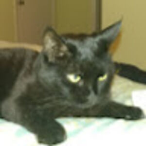 arthursmallidge avatar