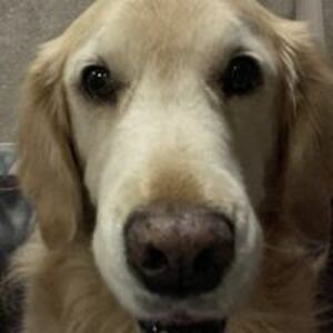 james_boyle88 avatar