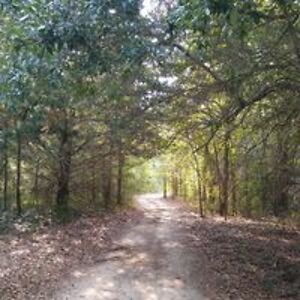 ann_faircloth avatar