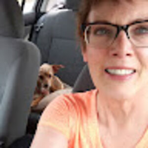 lindahallauer avatar