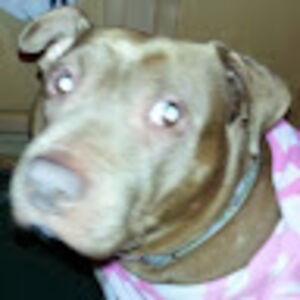 jenniferdempsey avatar