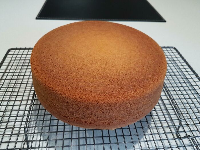 My Cake I Just Popped Out Of The Cake Tin Did Not Break At All. Feels Good!