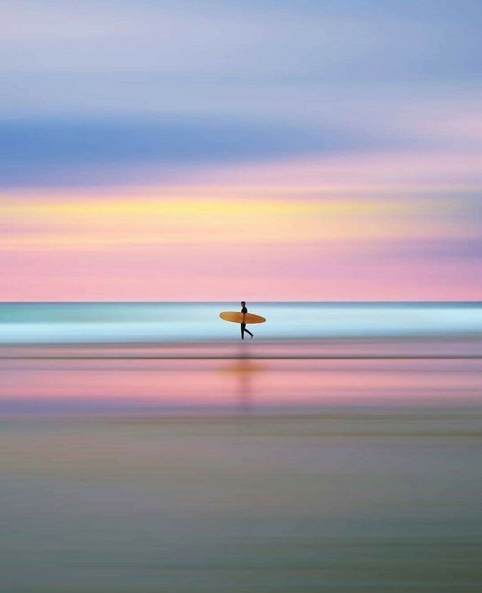 Los colores y las líneas