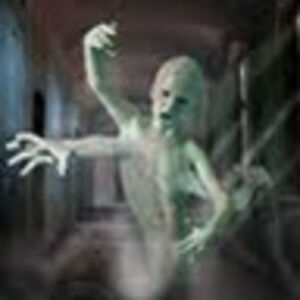 robbuitenhuis avatar