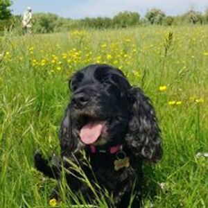 pamela_harrison avatar