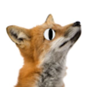 foxenwulf avatar