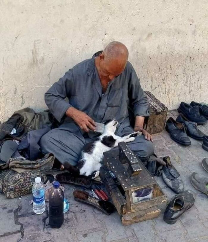 I’m In Love With The Picture 