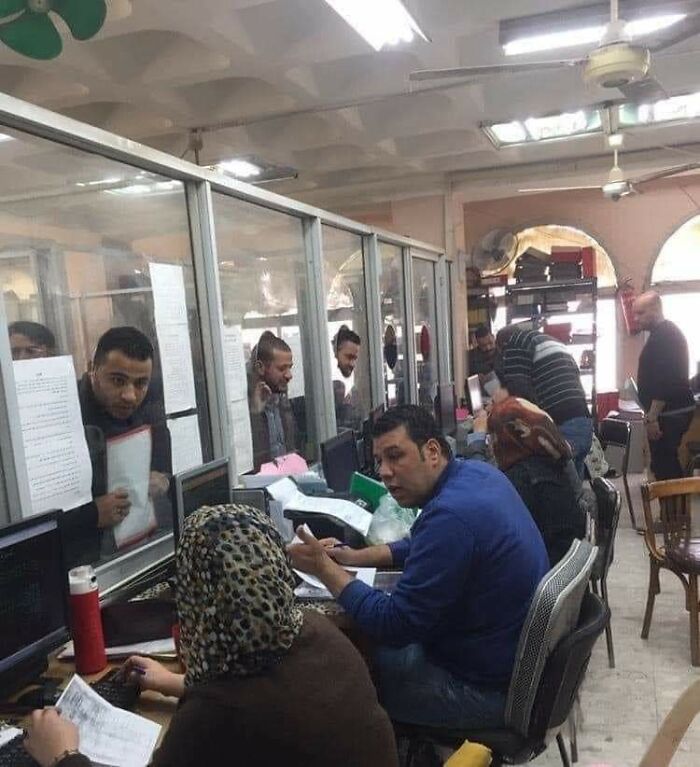 "Excuse Me, My Head Fits Perfectly In This Hole, Can I Have My Reward Now?"