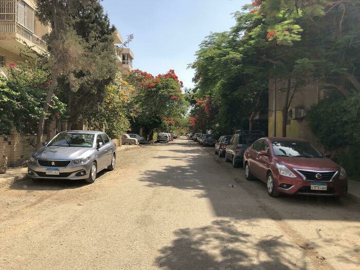 Cairo Without Humans Is Just Beautiful!