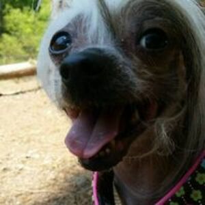 macky_mclemore avatar