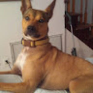 kimberlycharlton avatar