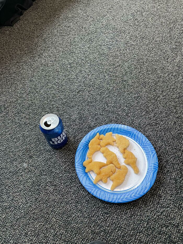 Cook Expensive Meals For 10-11 Hours A Day, Come Home And Eat Dino Nuggies