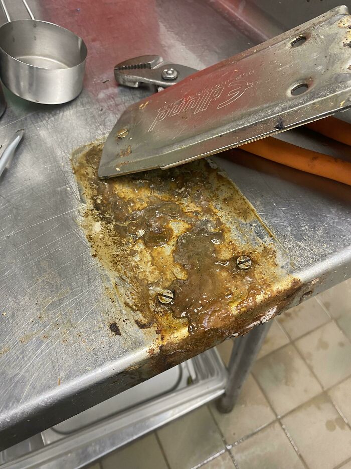 I Don’t Think Anyone Has Cleaned Under Our Can Opener In A While