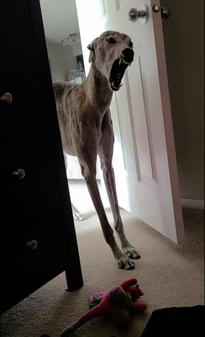 ¡Madre! ¡Reclamo tu alma!