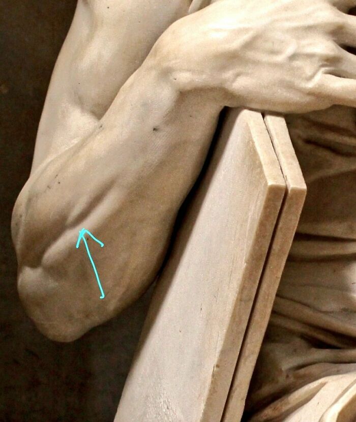 The Small Details: In The Forearms There Is One Very Small Muscle That Contracts Only When Lifting The Pinky, Otherwise It Is Invisible. Michelangelo's Moses Is Lifting The Pinky, Therefore That Tiny Muscle Is Contracted - A Small Part Of The Many Details