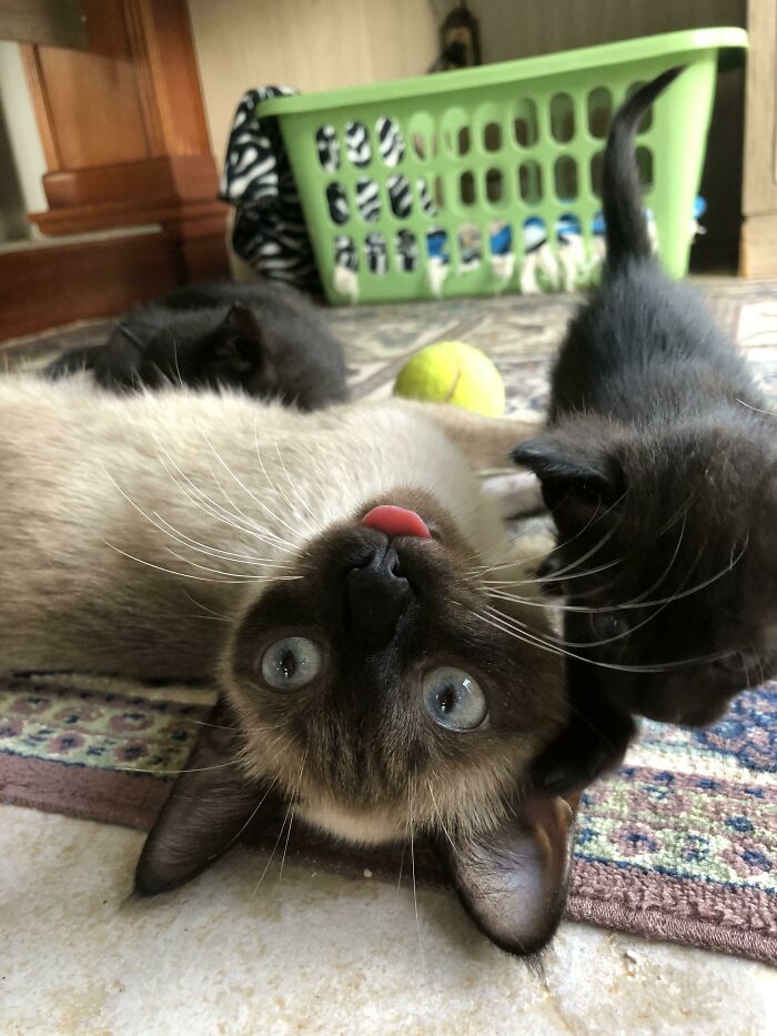 Motherhood Is Driving Her Mad