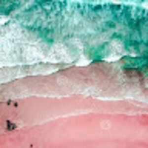 anushkaupadhayay avatar