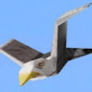 insertaestheticnamehere avatar