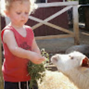 kamahllgoodarz avatar