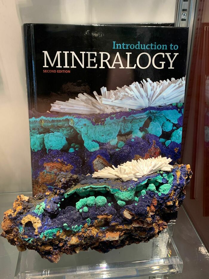 My Sister Saw The Rock That Was On The Cover Of Her College Textbook