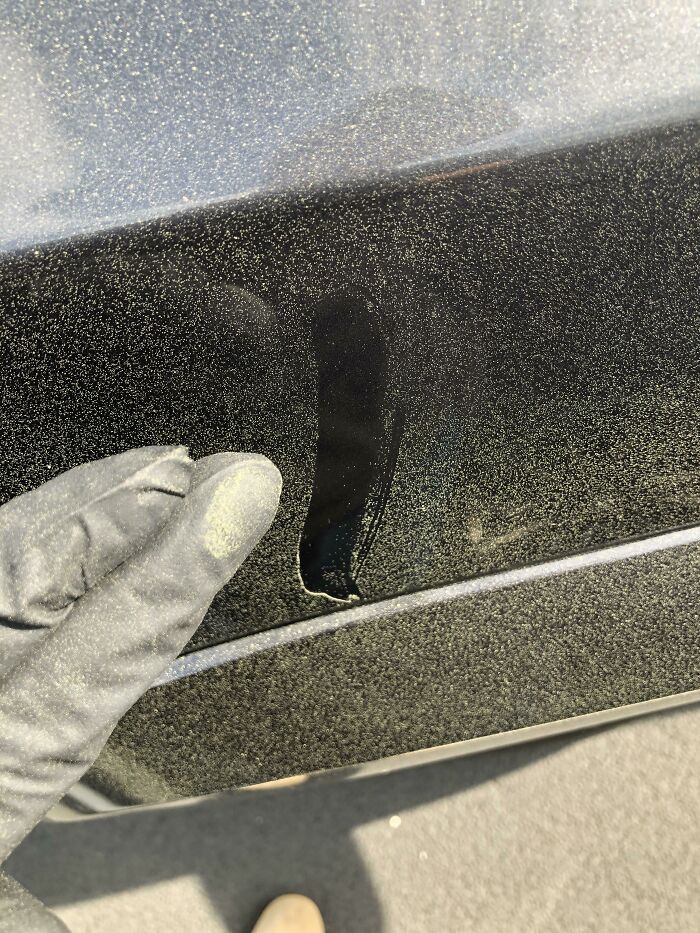 Mi jefe dice que no podemos llevar mascarillas “porque así asustaremos a los clientes”. Bueno, parece que aspiraré polen como si fuera un aspirador