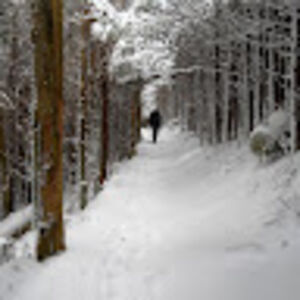 bethcummings_1 avatar