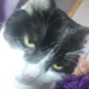 isabellarusso avatar