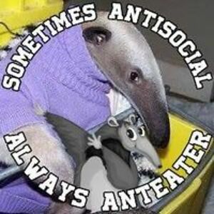 tentacletherapistlelalonde avatar