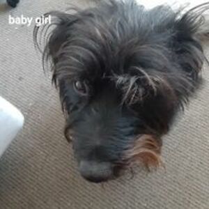 marsha_coppernoll_1 avatar