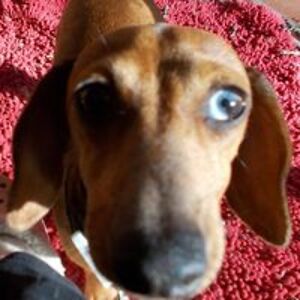 kathleenrjohnsonlnc avatar