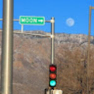 harryhenderson avatar