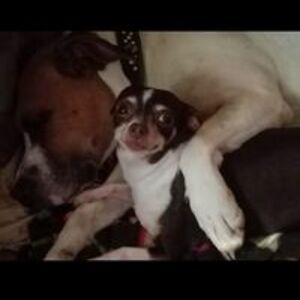 sherriechilds9 avatar