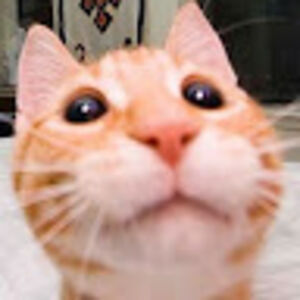 Jack Baxter-Williams