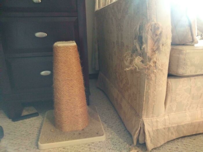 The Image Speaks For Itself