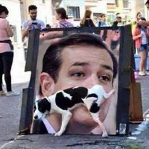 carolzeroual3 avatar