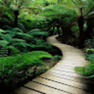 knight_dagger avatar