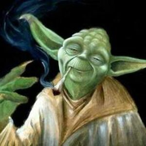 g_a_b_r_i_e_l___ avatar