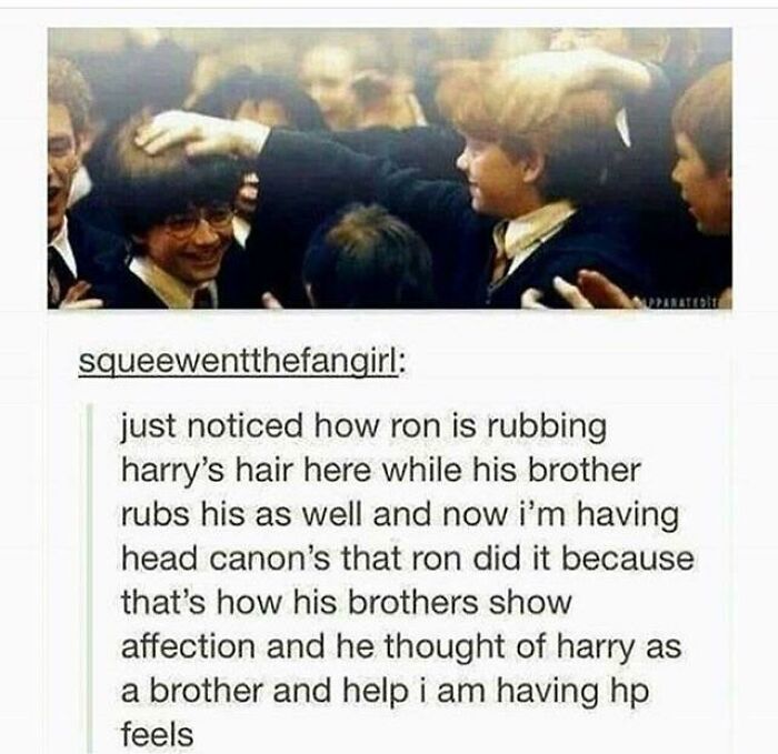 Im A Harry Potter Fan