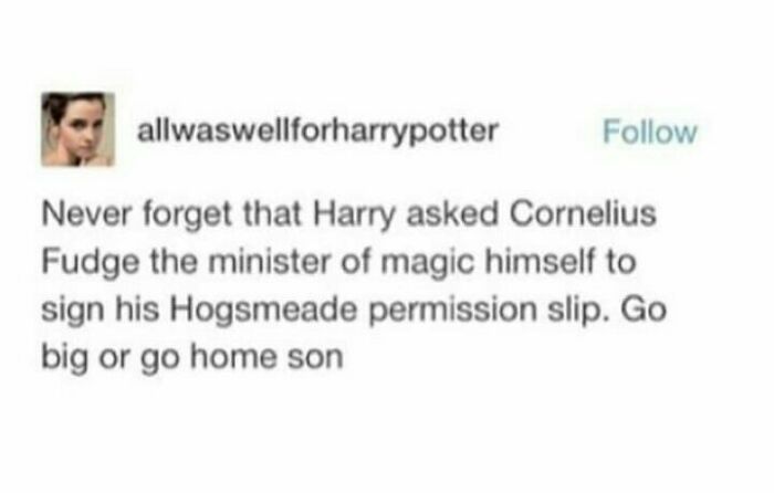 Absolutely Loved That