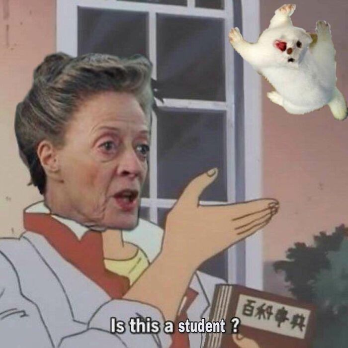 Found This On Google And I Laughed So Hard