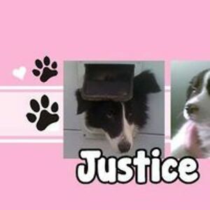 Elizabeth Fitzgerald