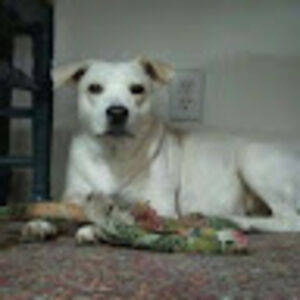 jenniferhartigan avatar