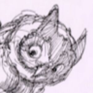 summermartin_1 avatar