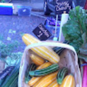 elizabethbass avatar