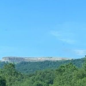 timmy_hamrick avatar